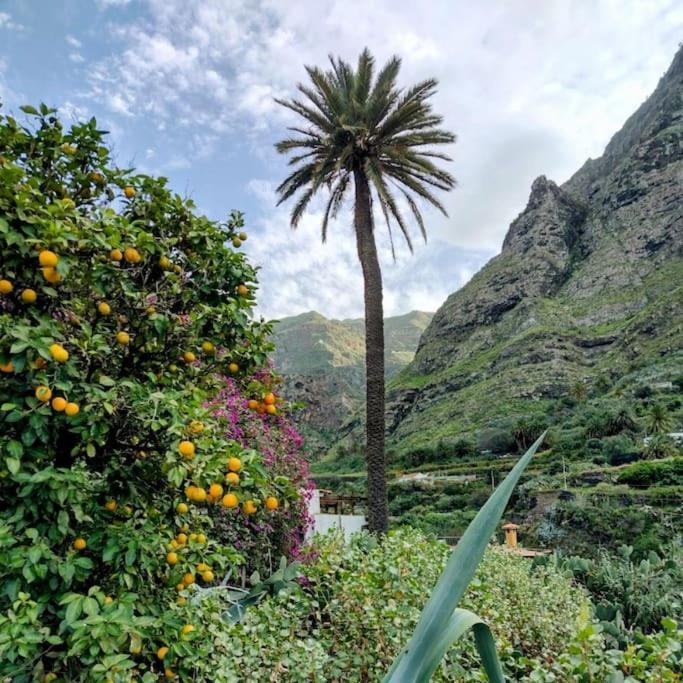 Villa Tamadaba Agaete  Εξωτερικό φωτογραφία